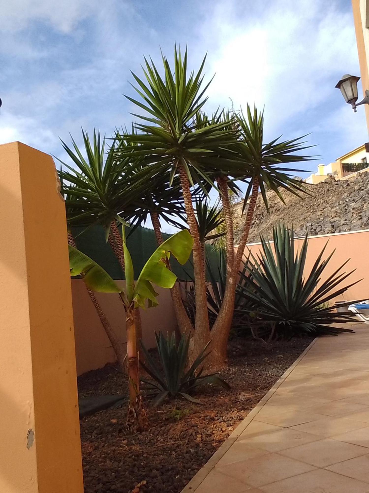 Auberge de jeunesse A Casa Di Ilaria à Corralejo Extérieur photo